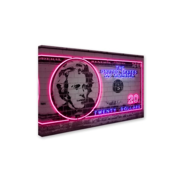 Octavian Mielu '20 Dollars' Canvas Art,30x47